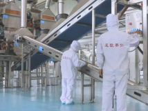 2025年的第一個月，承德亞歐果仁有限公司在山杏產業(yè)的道路上持續(xù)奮進，展現出蓬勃的發(fā)展活力。